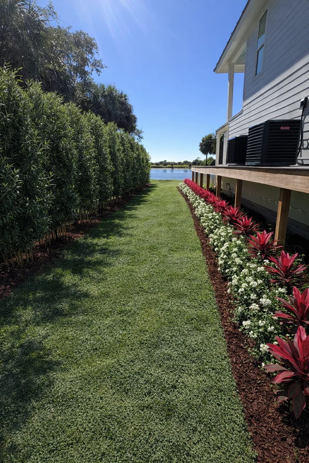 Landscape project