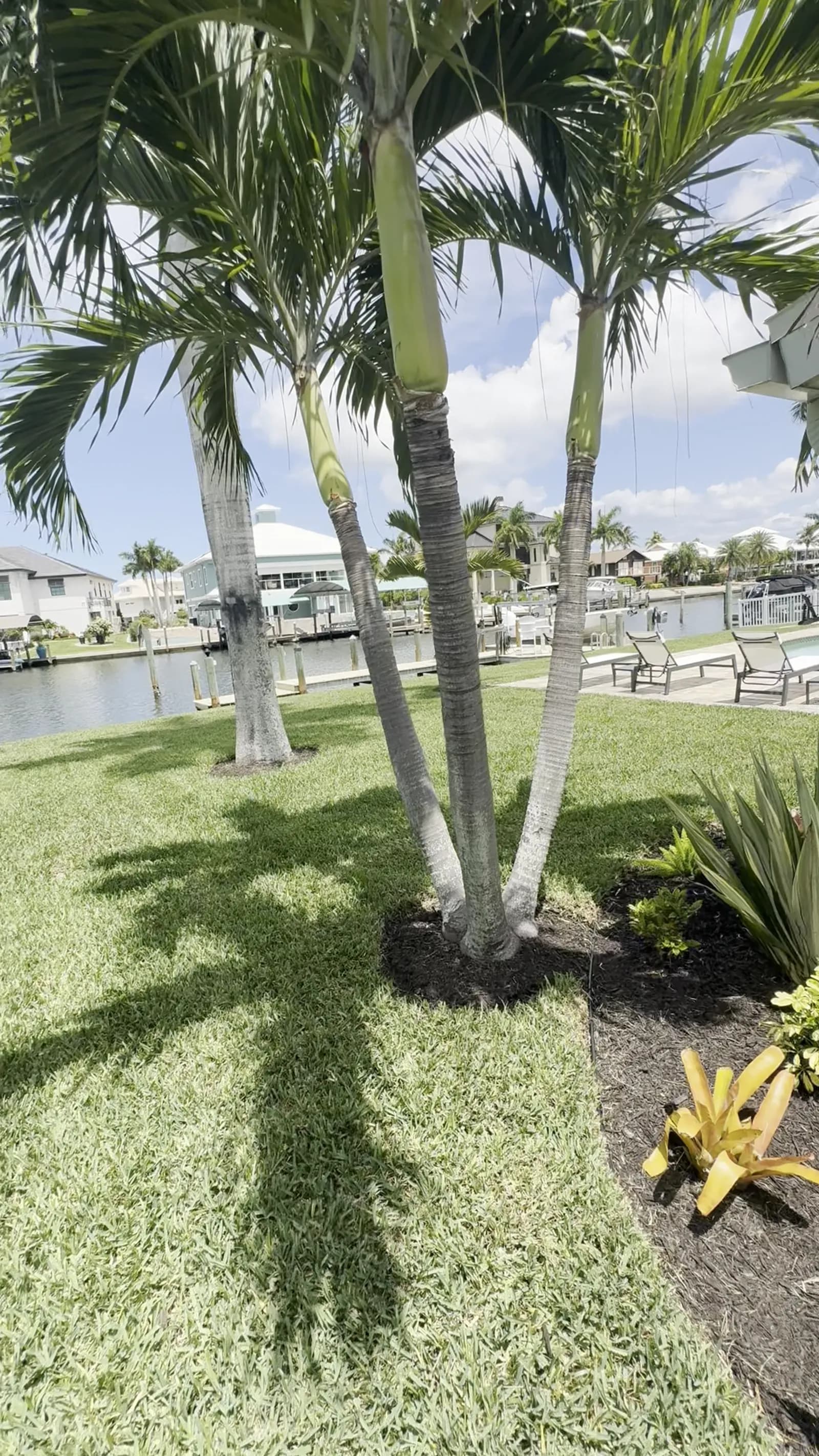 Landscape project