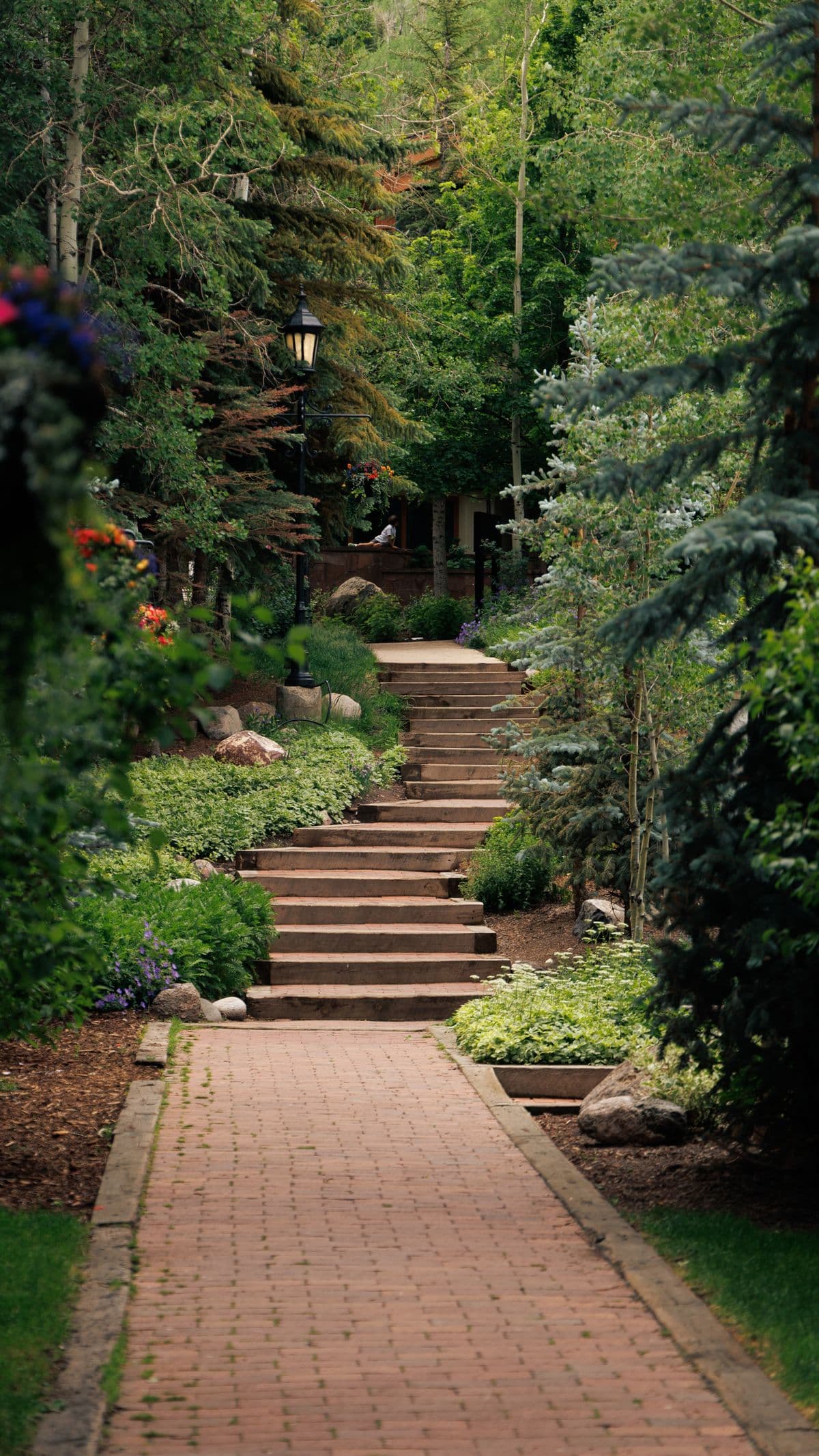 Landscape Design & Installation