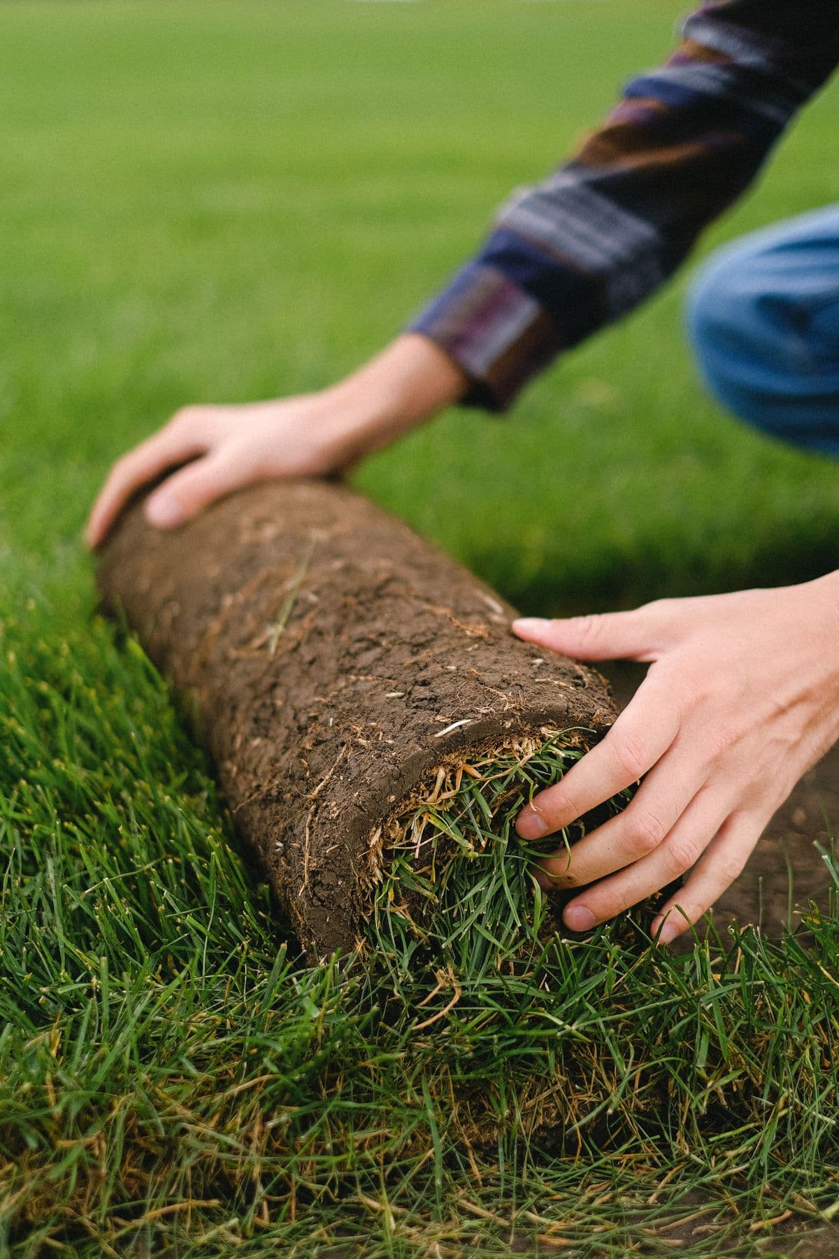 Sod & Hardscaping